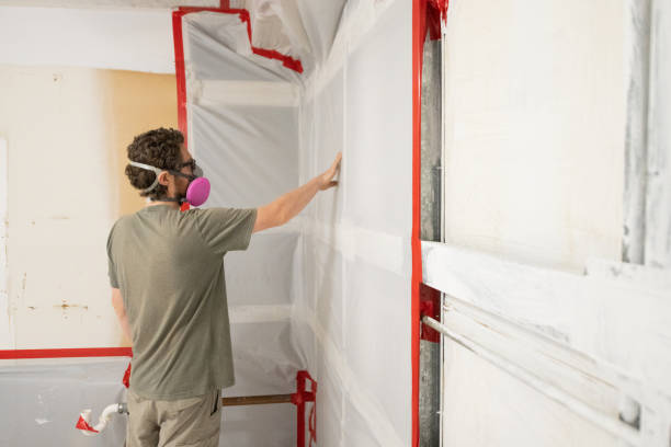 Mold Remediation for Vacation Homes in Swifton, AR